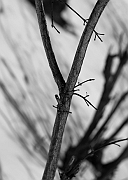 Wall_Art_Alphabet_Photography_Art_ 2545